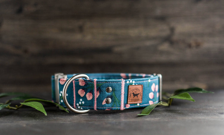 Trendy Dog Collar Floral Dog Collar Flower Dog Collar Girly Dog Collar Cat Collar Girl Dog Collar  Female Dog Collar Teal Dog Collar