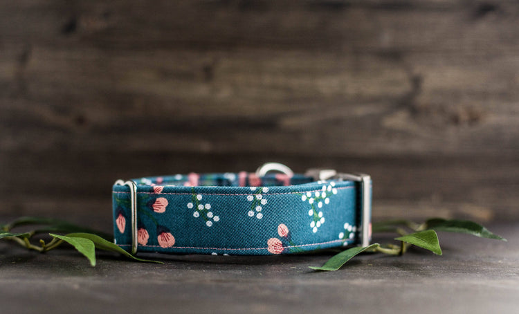 Trendy Dog Collar Floral Dog Collar Flower Dog Collar Girly Dog Collar Cat Collar Girl Dog Collar  Female Dog Collar Teal Dog Collar