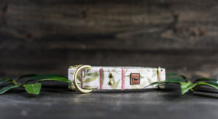 Girl Dog Collar Spring Collar Floral Dog Collar Trendy Dog Collar Girl Dog Collar Flower Dog Collar Girly Dog Collar Cat Collar Puppy Collar