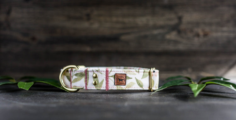 Girl Dog Collar Spring Collar Floral Dog Collar Trendy Dog Collar Girl Dog Collar Flower Dog Collar Girly Dog Collar Cat Collar Puppy Collar