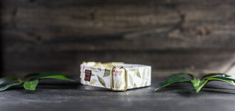 Girl Dog Collar Spring Collar Floral Dog Collar Trendy Dog Collar Girl Dog Collar Flower Dog Collar Girly Dog Collar Cat Collar Puppy Collar