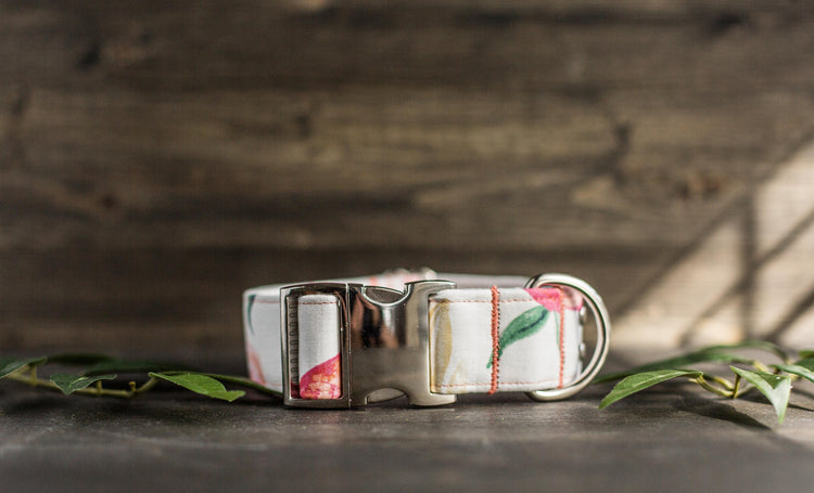 Dog Collar | Floral Dog Collar | Flower Dog Collar | BoHo Dog Collar | Puppy Dog Collar | Cat Collar |Girl Dog Collar | Girly Dog Collar