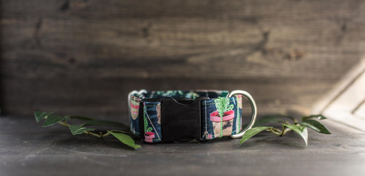 Dog Collar | Succulent Dog Collar | Cactus Dog Collar | Boho Dog Collar | Plants Dog Collar | Cat Collar | Girl Dog Collar | Boy Dog Collar