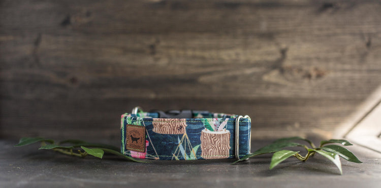 Dog Collar | Succulent Dog Collar | Cactus Dog Collar | Boho Dog Collar | Plants Dog Collar | Cat Collar | Girl Dog Collar | Boy Dog Collar
