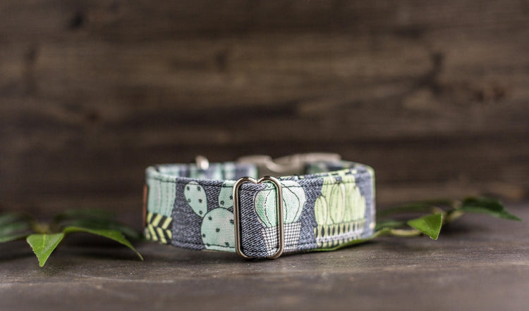 Dog Collar | Succulent Dog Collar | Cactus Dog Collar | Boho Dog Collar | Plants Dog Collar | Cat Collar | Girl Dog Collar | Boy Dog Collar