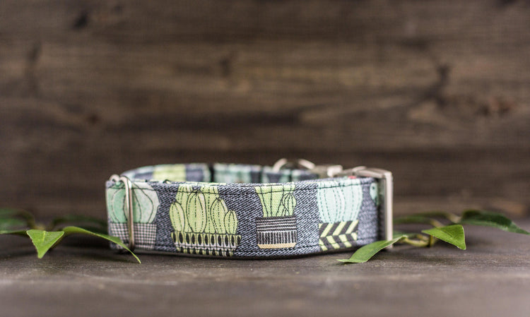 Dog Collar | Succulent Dog Collar | Cactus Dog Collar | Boho Dog Collar | Plants Dog Collar | Cat Collar | Girl Dog Collar | Boy Dog Collar
