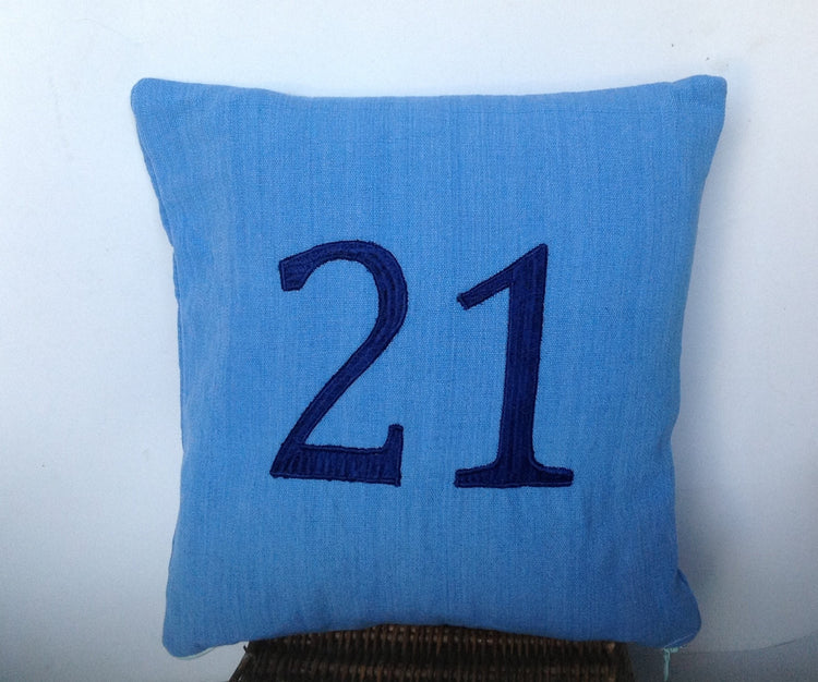Personalized pillows with cases, baby Personalized pillows, Baby Blue Nursery Decor- Children Monogrammed embroidered pillows- 14x14